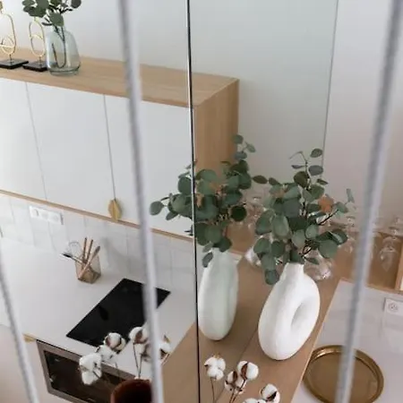 Bel D'architecte Au Coeur De パリ